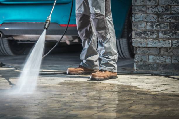 Best Driveway Pressure Washing  in Zeeland, MI