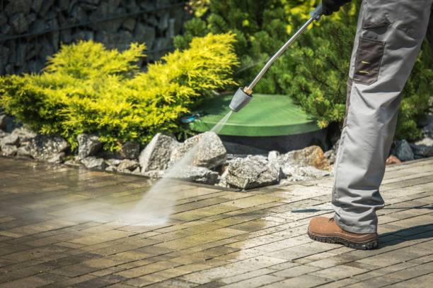 Best Spring Cleaning  in Zeeland, MI