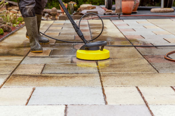 Best Roof Washing  in Zeeland, MI
